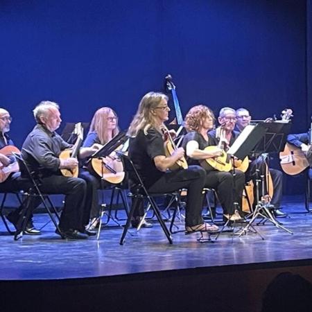 XV JORNADAS DE PLECTRO Y GUITARRA DE SEGOVIA